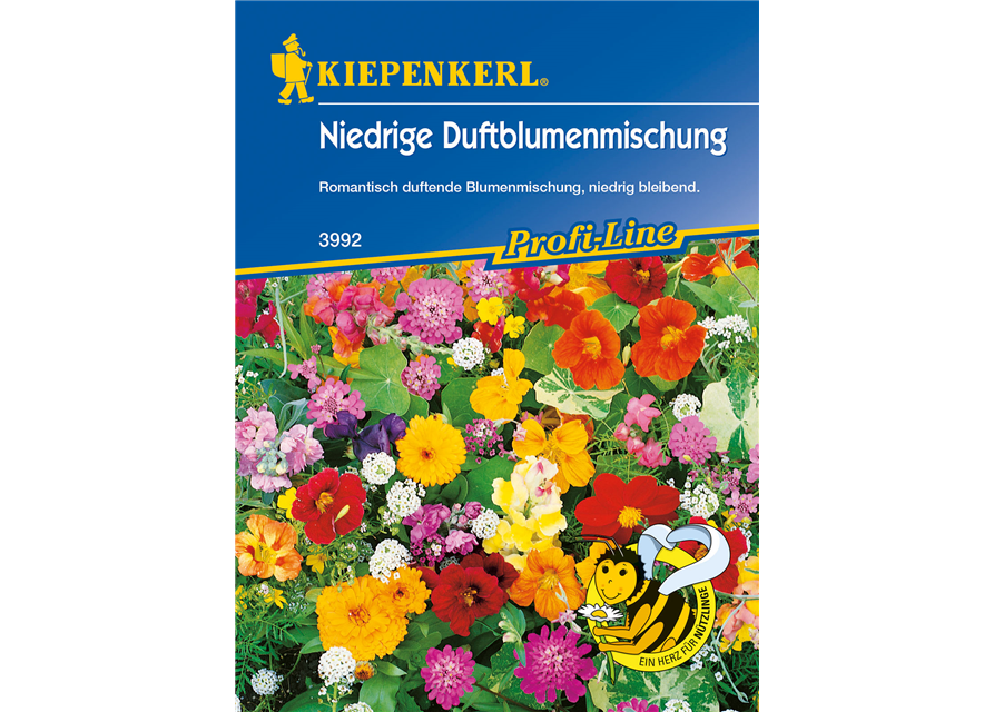 Niedrige Duftblumen