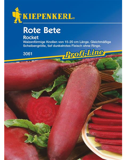 Rote Beete 'Rocket'