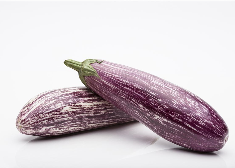 Aubergine 'Lucilla'