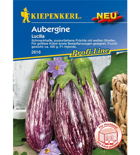 Aubergine 'Lucilla'