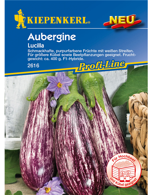 Aubergine 'Lucilla'