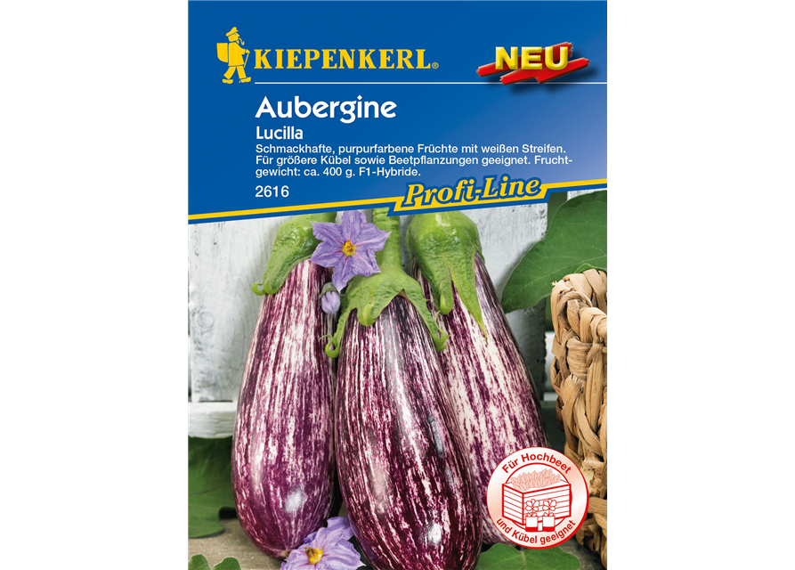 Aubergine 'Lucilla'