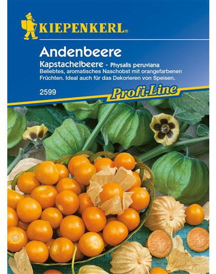 Andenbeere