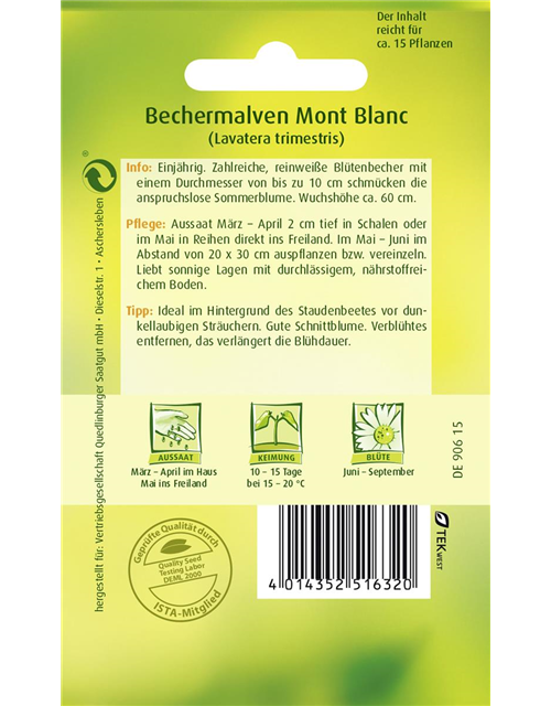 Bechermalvensamen 'Mont Blanc'