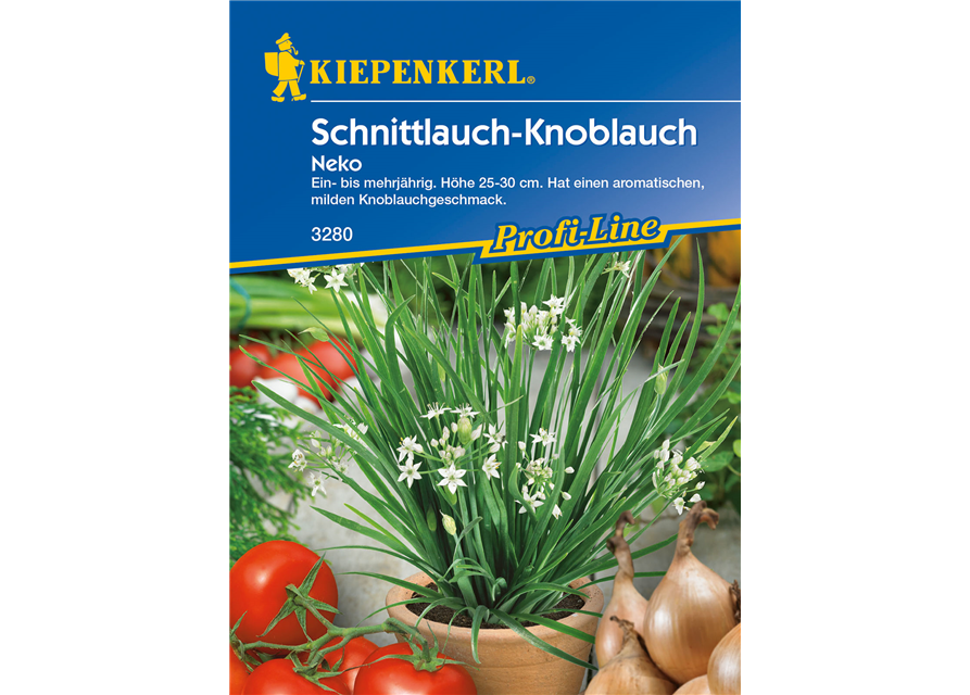 Schnittknoblauch 'Neko'