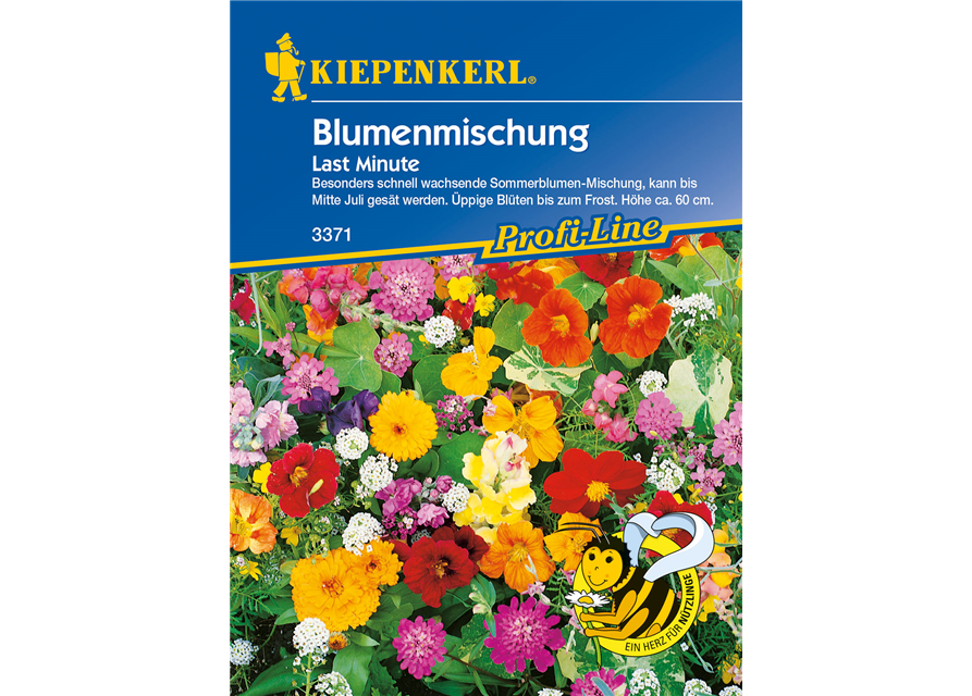 Blumenmischung 'Last Minute'