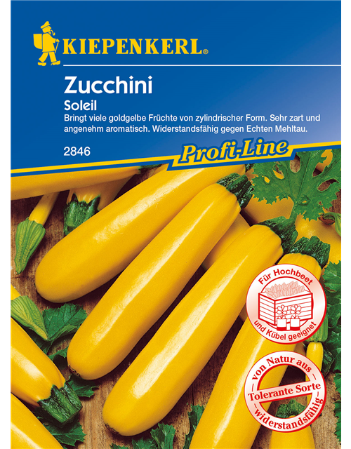 Zucchini 'Soleil F1'