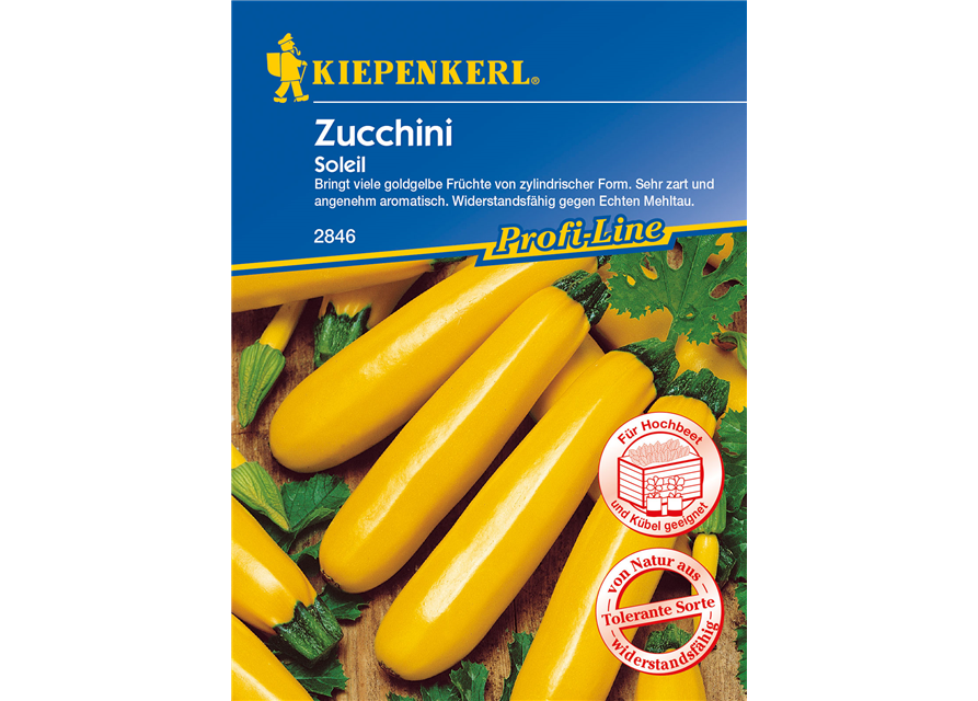 Zucchini 'Soleil F1'