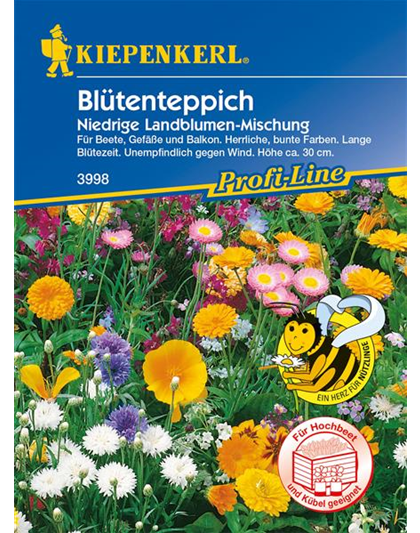 Niedrige Landblumen-Mischung