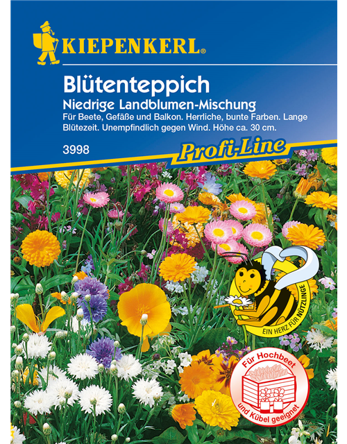 Niedrige Landblumen-Mischung