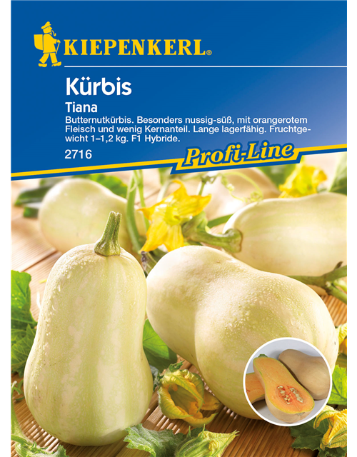 Kürbis 'Tiana'