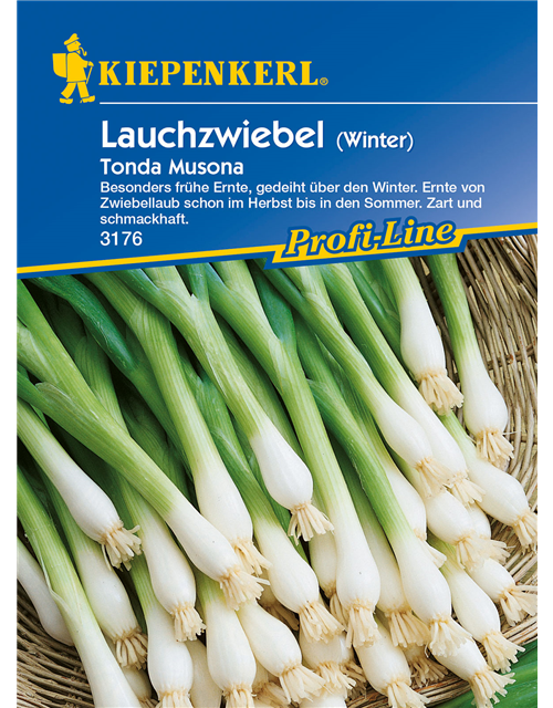 Winterlauchzwiebel 'Tonda Musona'