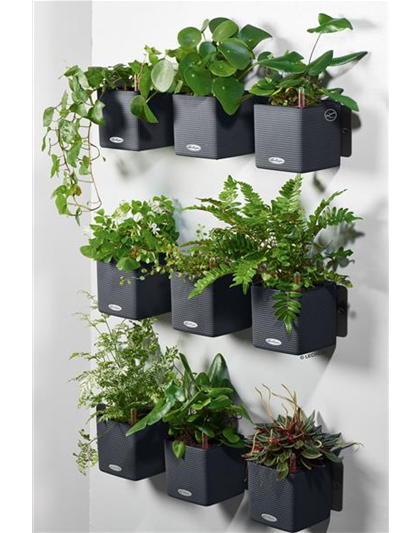 LECHUZA Green Wall Home Kit Color