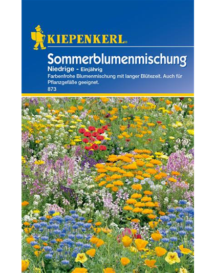 Niedrige Sommerblumen