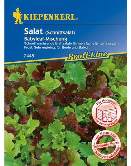 Babyleaf-Salat