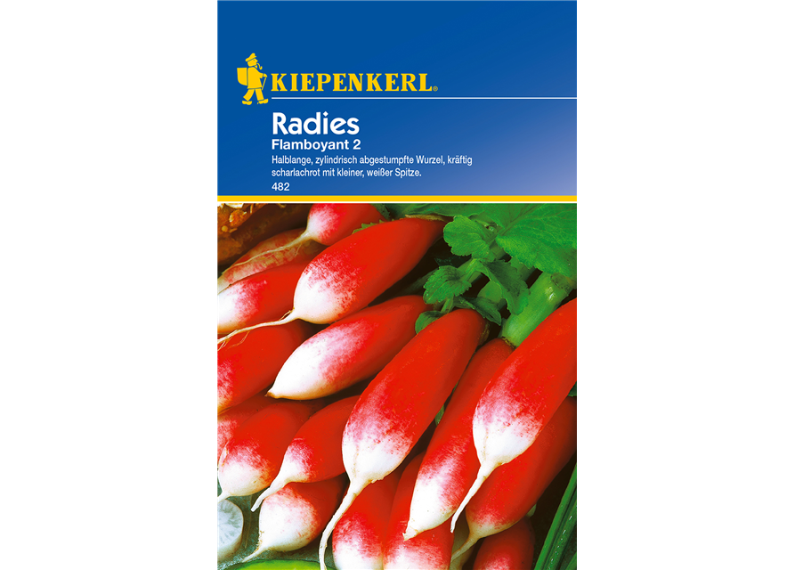 Radieschen 'Flamboyant 2'