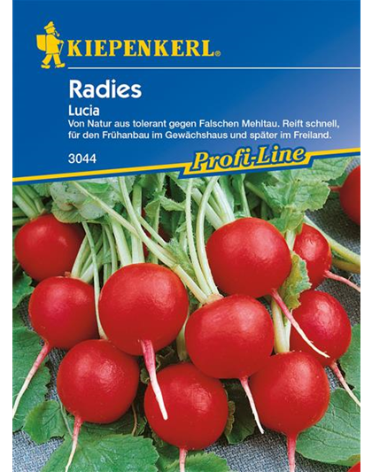 Radieschen 'Lucia'