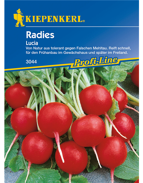 Radieschen 'Lucia'