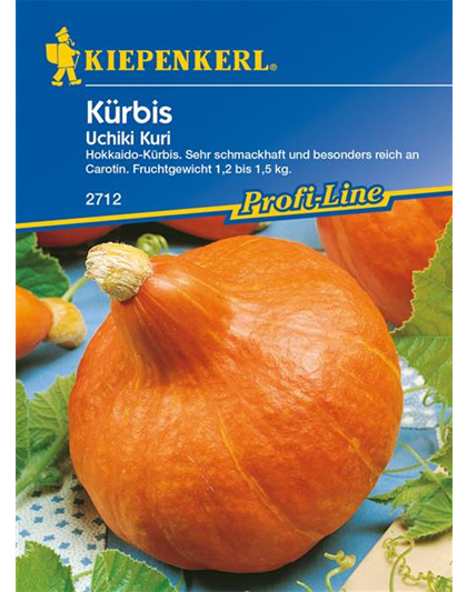 Kürbis 'Uchiki Kuri'