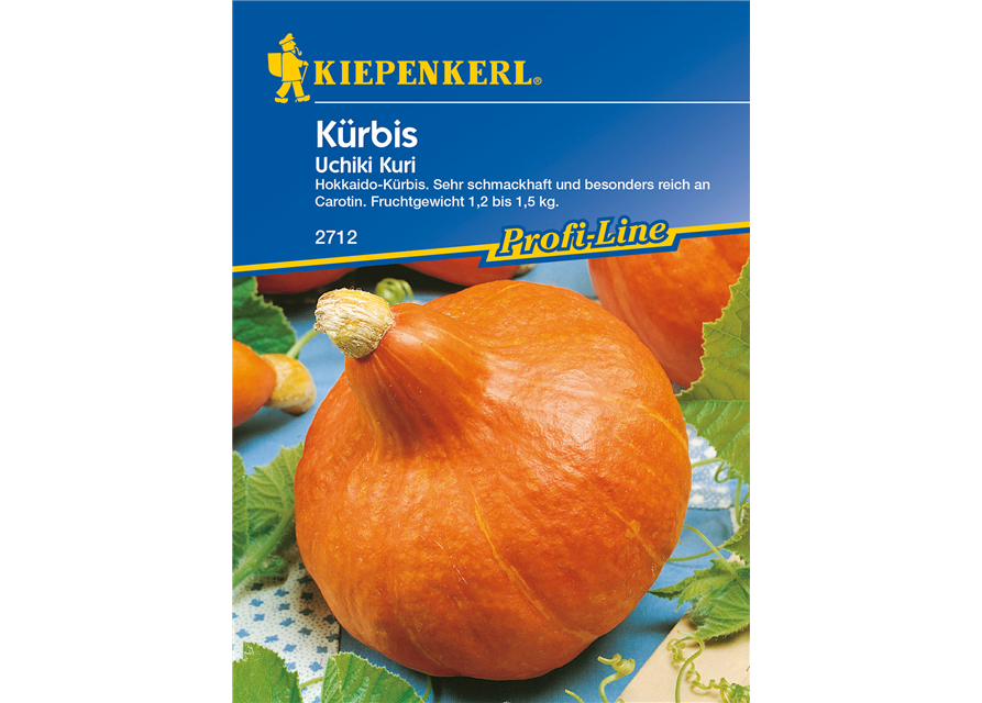 Kürbis 'Uchiki Kuri'