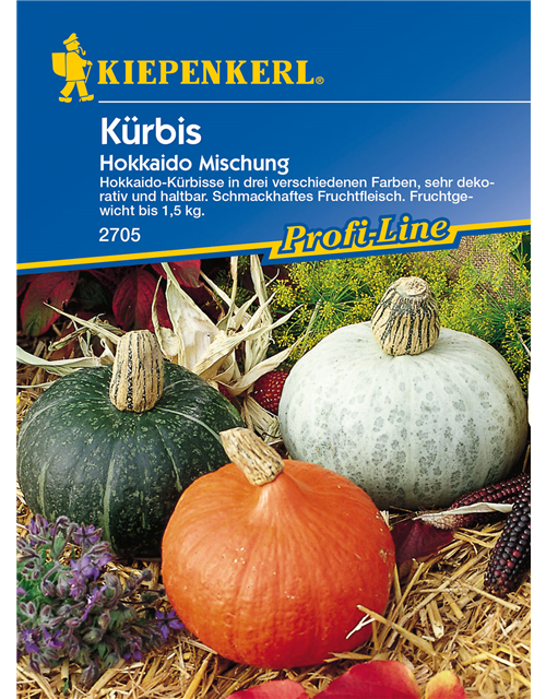 Kürbis 'Hokkaido'