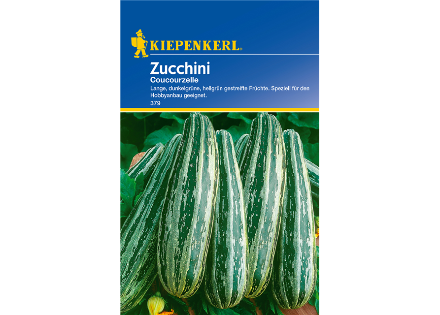 Zucchini 'Coucourzelle'