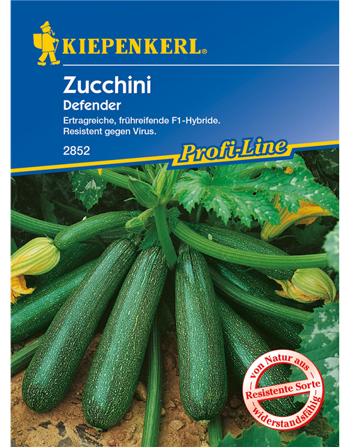 Zucchini 'Defender F1'