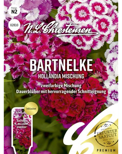 Bartnelkensamen 'Hollandia Mix'