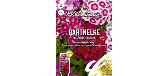 Bartnelkensamen 'Hollandia Mix'