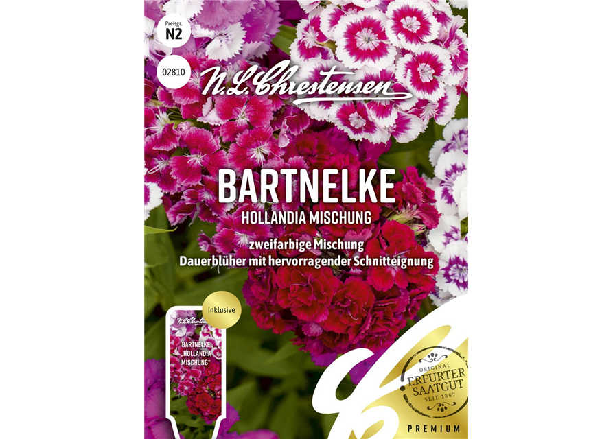 Bartnelkensamen 'Hollandia Mix'