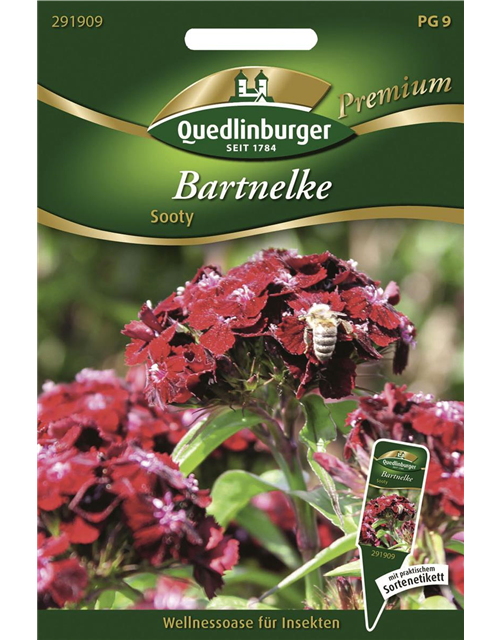 Bartnelkensamen 'Sooty'