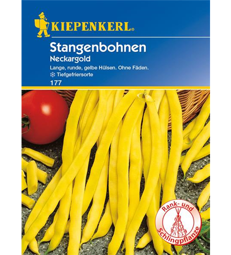 Stangen-Bohne 'Neckargold'