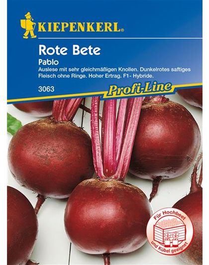 Rote Rübe 'Pablo'