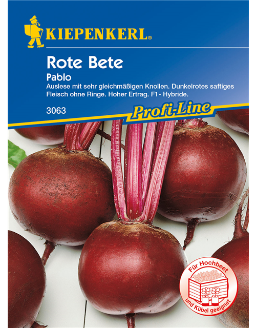 Rote Rübe 'Pablo'