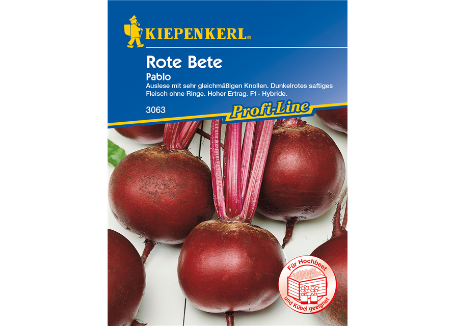 Rote Rübe 'Pablo'