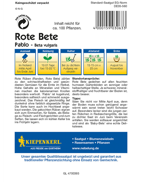 Rote Rübe 'Pablo'