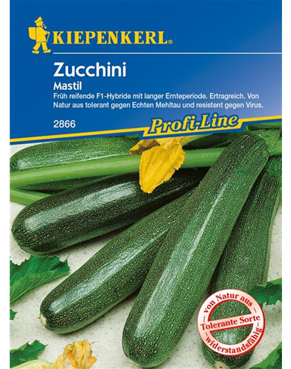 Zucchini 'Mastil'