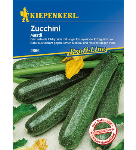 Zucchini 'Mastil'