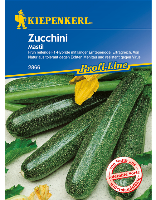 Zucchini 'Mastil'