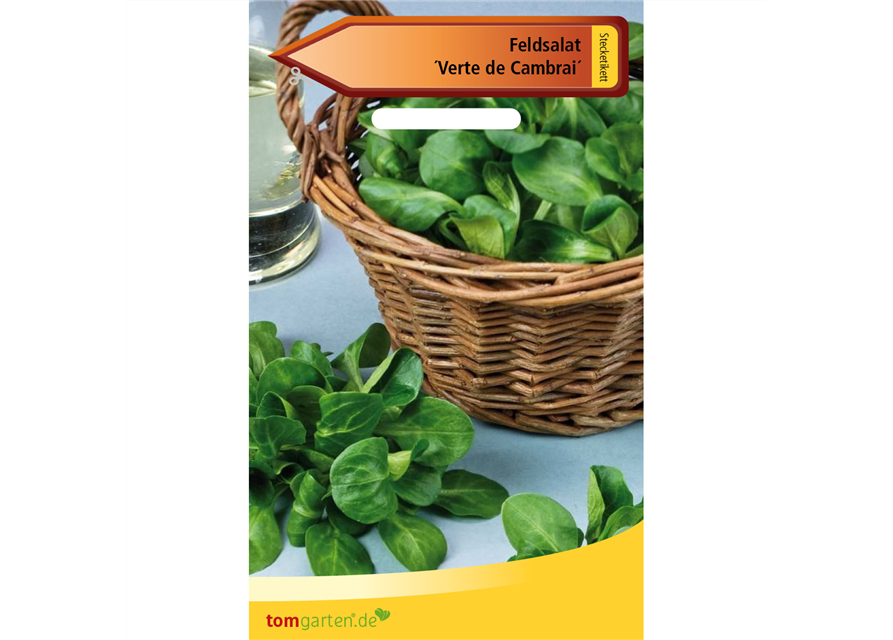 Feldsalat 'Verte de Cambrai'