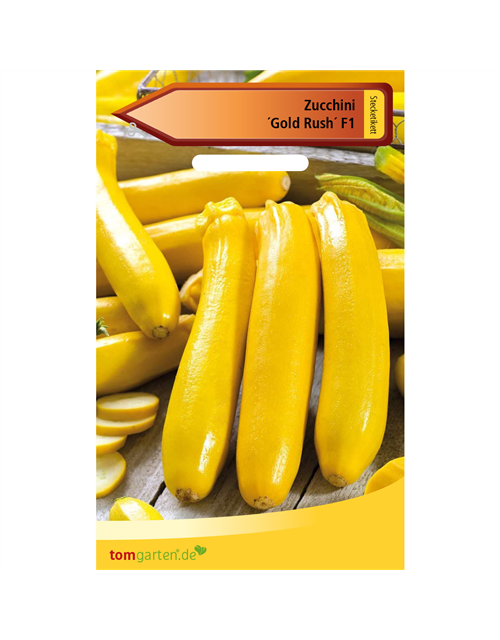 Zucchini 'Gold Rush F1'