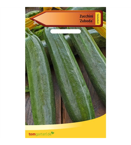 Zucchini 'Zuboda'