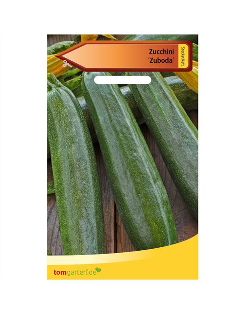 Zucchini 'Zuboda'