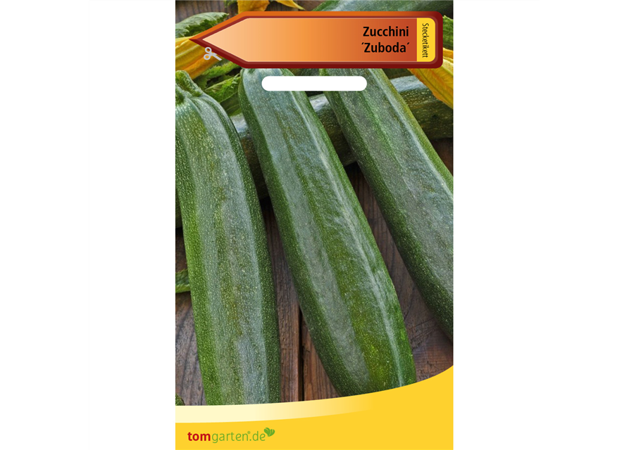 Zucchini 'Zuboda'