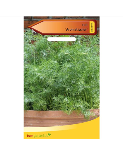 Dill 'Aromatischer'