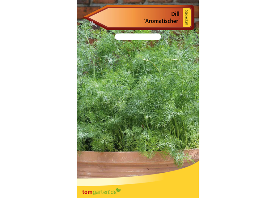 Dill 'Aromatischer'