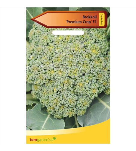 Broccoli 'Premium Crop F1'