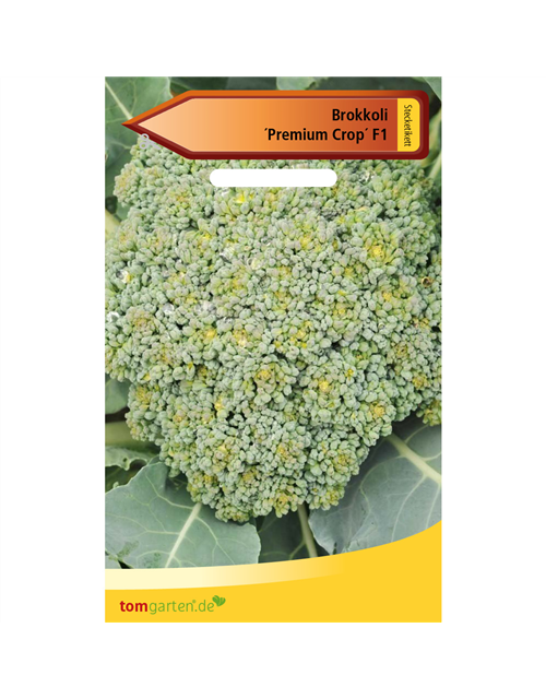 Broccoli 'Premium Crop F1'