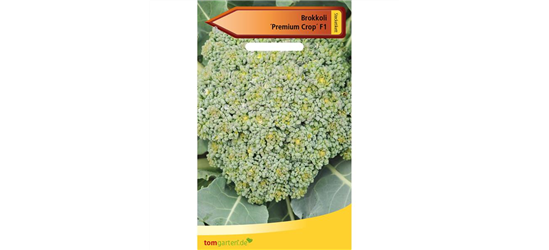 Broccoli 'Premium Crop F1'