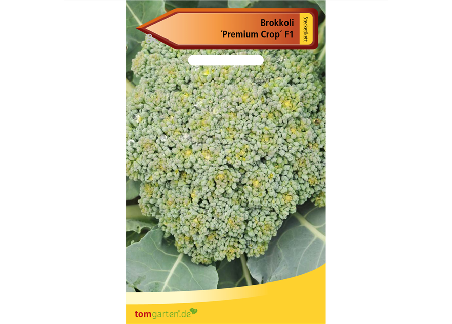 Broccoli 'Premium Crop F1'